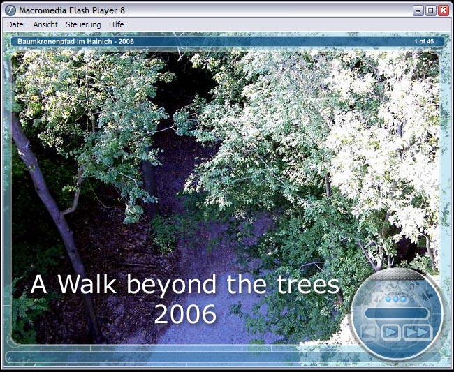 Beyond the trees 2006